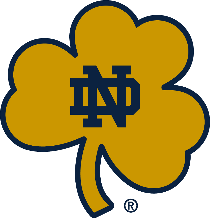 Notre Dame Fighting Irish 2015-Pres Secondary Logo v2 diy iron on heat transfer